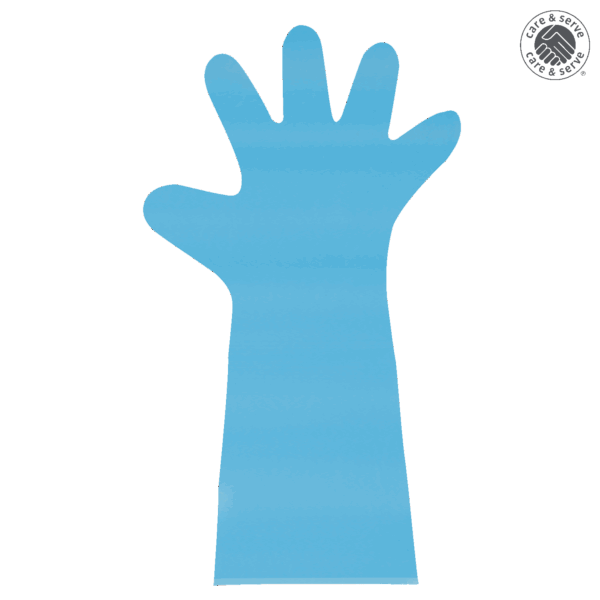 Premium PE Disposable Gloves - Image 4